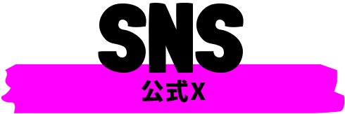 公式X